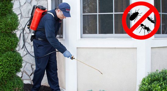 Çanakçı Akrep İlaçlama böcek ilaçlama ve haşere kontrolü — ilaclama-tr.com